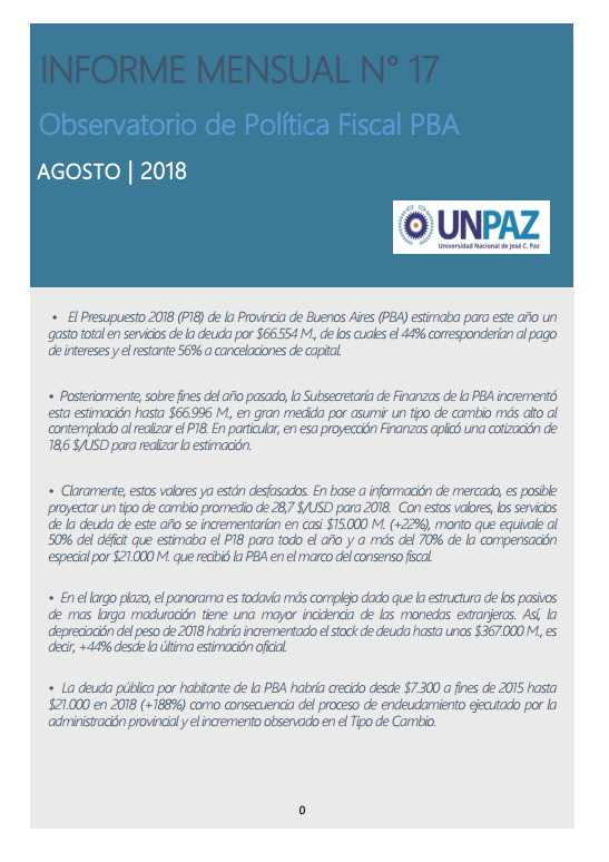 Informe Mensual Nº 17