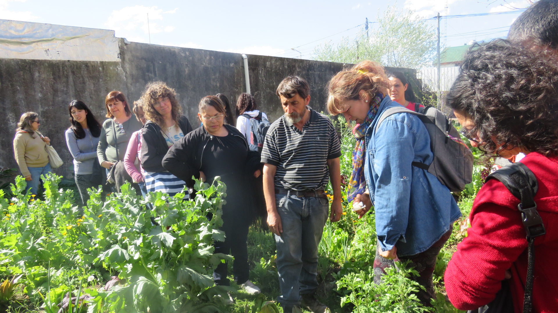 Fundación "Siempre Viva".